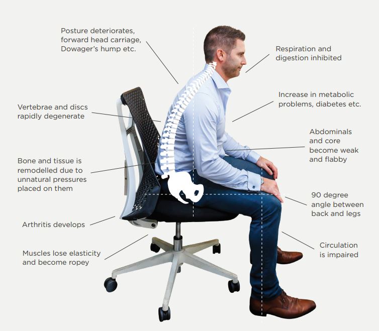 https://www.workhorsechair.com/cdn/shop/files/bad-posture2_1600x.JPG?v=1615924125